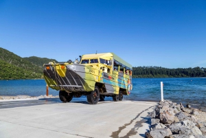 Tarawera and Lakes 2-Hour Duck Eco Tour