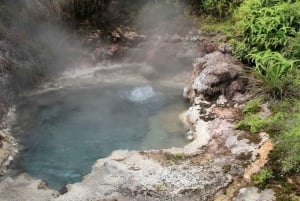 Taupo: Orakei Korako Geothermal Park and Cave Entry Ticket
