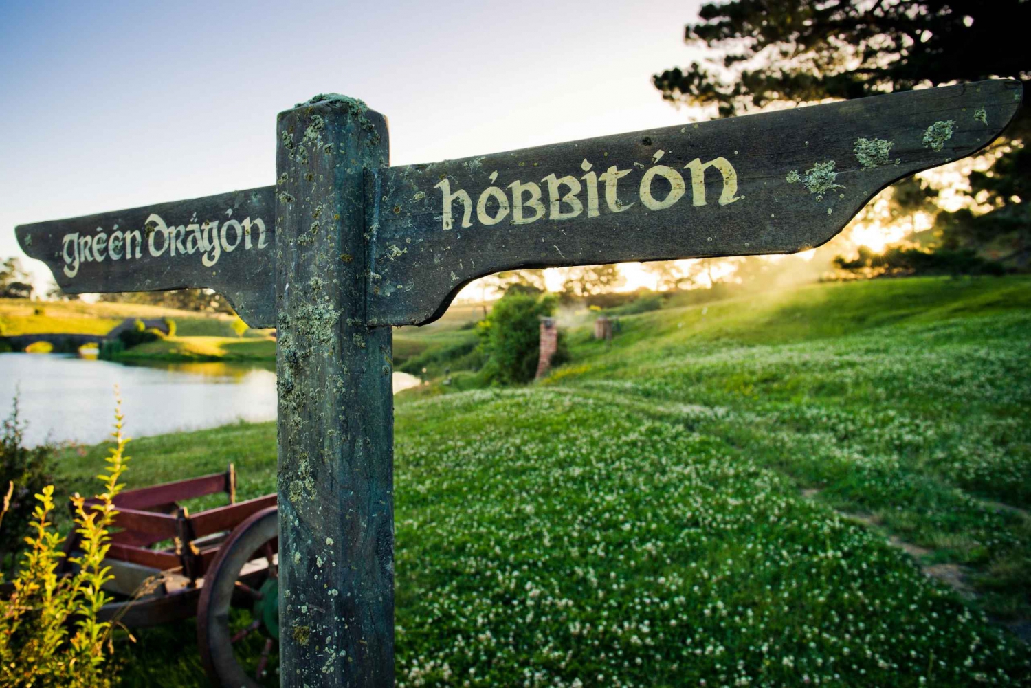 Tauranga: Hobbiton & Rotorua Geysers Shore Excursion