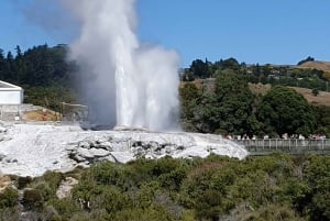 Tauranga: Rotorua Redwoods Tour & Maori Village Experience