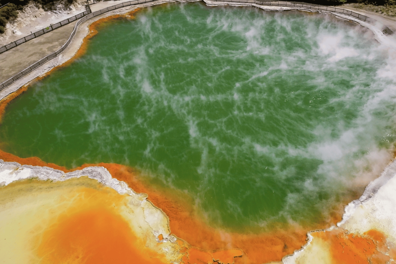 Tauranga: Wai-o-Tapu with Redwood Treetop Walk or Forest Spa