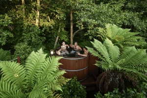 Tauranga: Wai-o-Tapu with Redwood Treetop Walk or Forest Spa