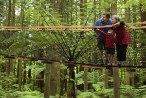 Tauranga: Wai-o-Tapu with Redwood Treetop Walk or Forest Spa
