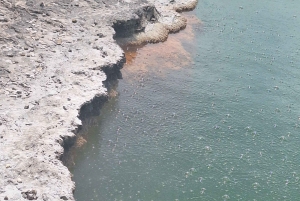 Tauranga: Wai-o-Tapu with Redwood Treetop Walk or Forest Spa