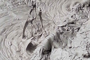 Tauranga: Wai-o-Tapu with Redwood Treetop Walk or Forest Spa