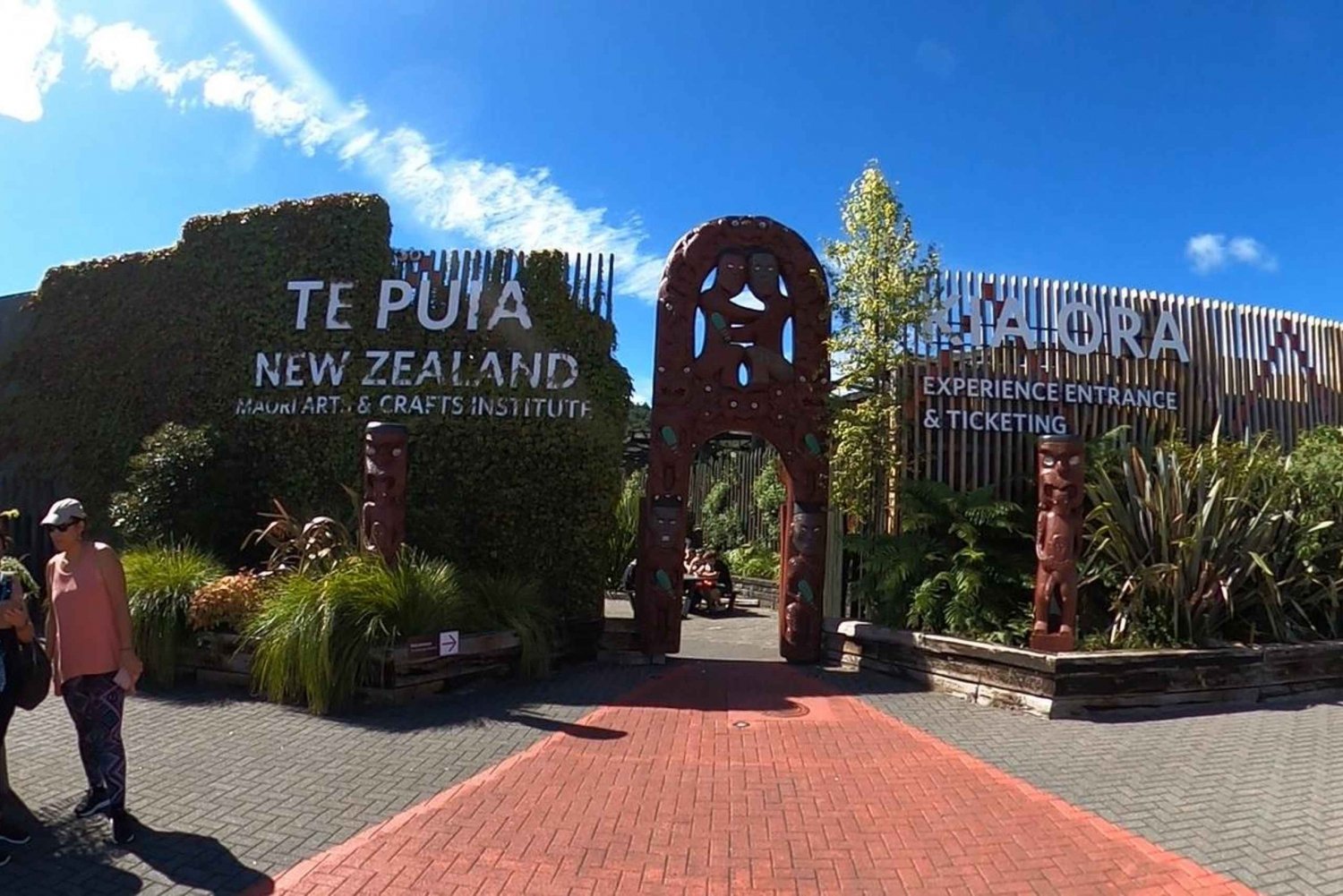 TE PUIA 地熱公園ロトルア - オークランド発グループ日帰り旅行