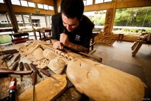 TE PUIA 地熱公園ロトルア - オークランド発グループ日帰り旅行