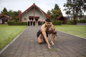 Te Puia: Te Pō Combo: Te Rā, Abendessen und Haka-Aufführung