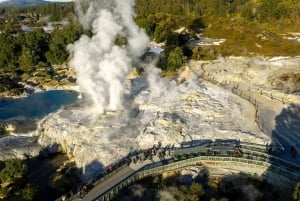 Te Puia: Tour guiado de um dia em Te Rā + Apresentação cultural de Haka