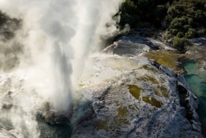 Te Puia: Visita guiada de um dia a Te Rā