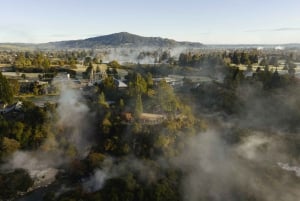 Te Puia: Visita guiada de um dia a Te Rā