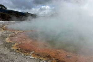 Fra Auckland: TRIPLE DEAL Wai-O-Tapu, Redwood & Blue Springs
