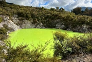 Fra Auckland: TRIPLE DEAL Wai-O-Tapu, Redwood & Blue Springs