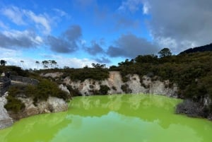 Fra Auckland: TRIPLE DEAL Wai-O-Tapu, Redwood & Blue Springs