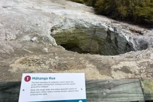 Fra Auckland: TRIPLE DEAL Wai-O-Tapu, Redwood & Blue Springs