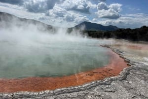 Fra Auckland: TRIPLE DEAL Wai-O-Tapu, Redwood & Blue Springs