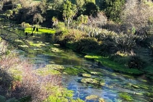Fra Auckland: TRIPLE DEAL Wai-O-Tapu, Redwood & Blue Springs