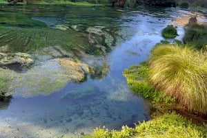 Fra Auckland: TRIPLE DEAL Wai-O-Tapu, Redwood & Blue Springs