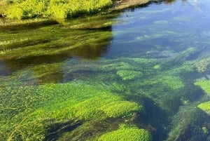 Fra Auckland: TRIPLE DEAL Wai-O-Tapu, Redwood & Blue Springs