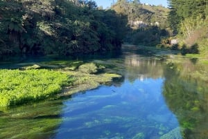 Fra Auckland: TRIPLE DEAL Wai-O-Tapu, Redwood & Blue Springs