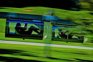 Best Family Activities In Rotorua