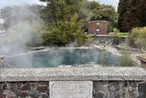 Геотермальная зона WAI-O-TAPU, Роторуа — групповой однодневный тур из Окленда