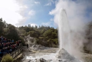 WAI-O-TAPU & HOBBITON - Private Day Tour Ex Auckland