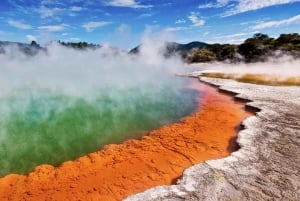 WAI-O-TAPU & HOBBITON - Privat dagstur från Auckland