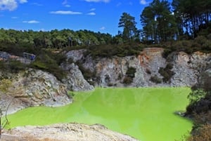 WAI-O-TAPU & HUKA FALLS RC - PRIVAT TUR FRÅN AUCKLAND