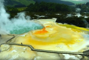 Auckland: Wai-O-Tapu, Pueblo Maorí Mittai y Excursión por el Bosque