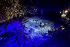 Auckland: Wai-O-Tapu, Pueblo Maorí Mittai y Excursión por el Bosque