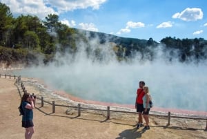 Auckland: Wai-O-Tapu, Pueblo Maorí Mittai y Excursión por el Bosque