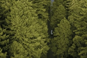 Auckland: Wai-O-Tapu, Pueblo Maorí Mittai y Excursión por el Bosque