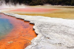 Auckland: Wai-O-Tapu, Pueblo Maorí Mittai y Excursión por el Bosque