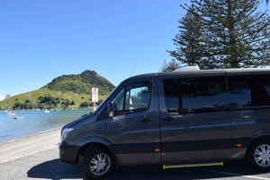 Wai-O-Tapu & Polynesian Spa Day Tour from Rotorua