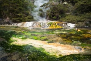 Inträde till Waimangu Volcanic Valley och kryssning till Lake Rotomahana