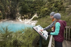 ワイマング火山渓谷入場とロトマハナ湖クルーズ