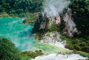 Rotorua Bucket List