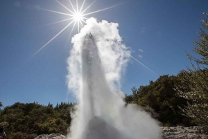Waiotapu: Thermal Park and Lady Knox Geyser Entry Ticket