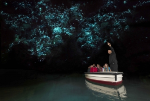 Waitomo Glowworm Caves Tour & Transfer From Rotorua