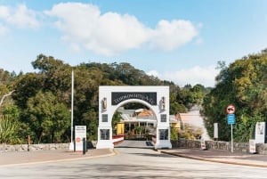 Whakarewarewa: Entrance to the Geothermal Trails
