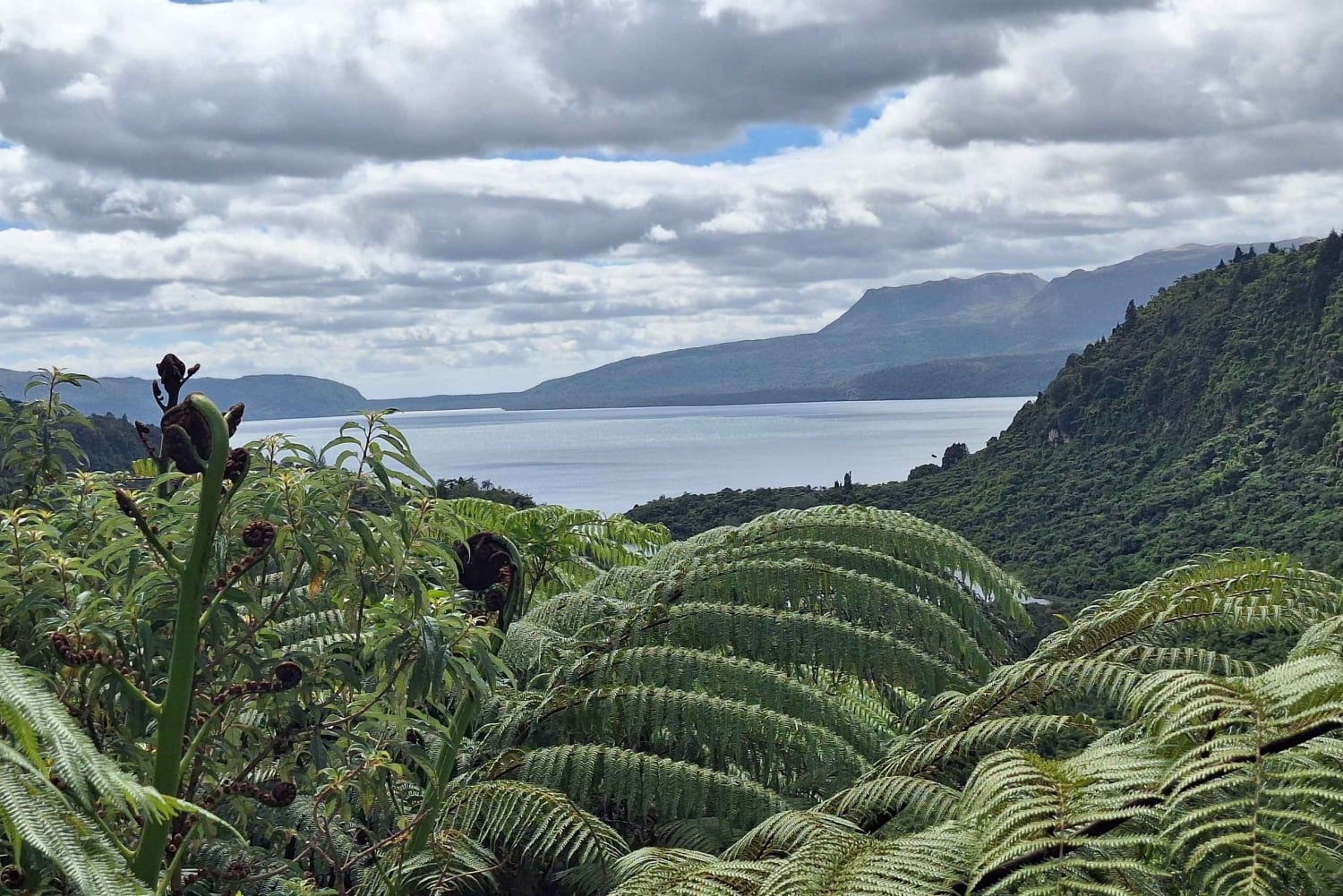 ワカレワレワ・マオリ村、湖、レッドウッドの森をご覧ください