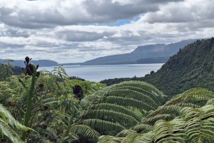 ワカレワレワ・マオリ村、湖、レッドウッドの森をご覧ください