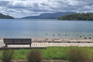 ワカレワレワ・マオリ村、湖、レッドウッドの森をご覧ください