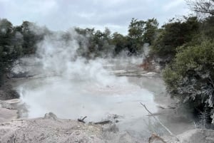 WHAKAREWAREWA - El Pueblo Maorí Viviente - Excursión en grupo Ex AKL