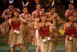 Bay of Plenty Maori Attractions