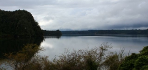 Lake Rotoehu 