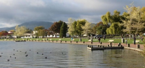 Top 5 Rotorua Lakes