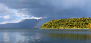 Top 5 Rotorua Lakes