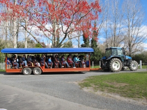 Agrodome Tour, Rotorua 